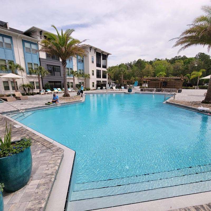 Home backyard with pool and palm trees at Jacksonville and St. Augustine, FL.