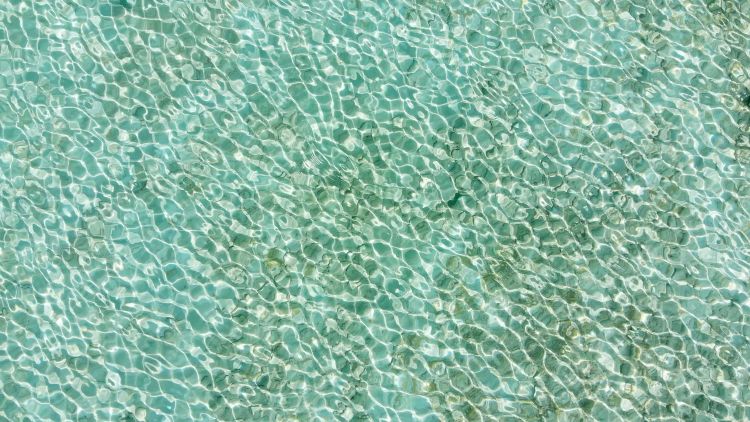 Sea green glass pool tiles from Coastal Luxury Outdoors, are a stunning option for Jacksonville, FL.