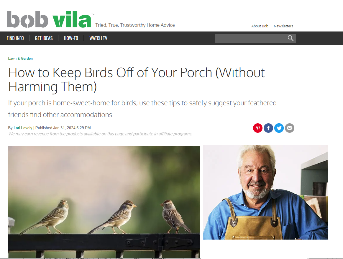 Bob Vila article screenshot