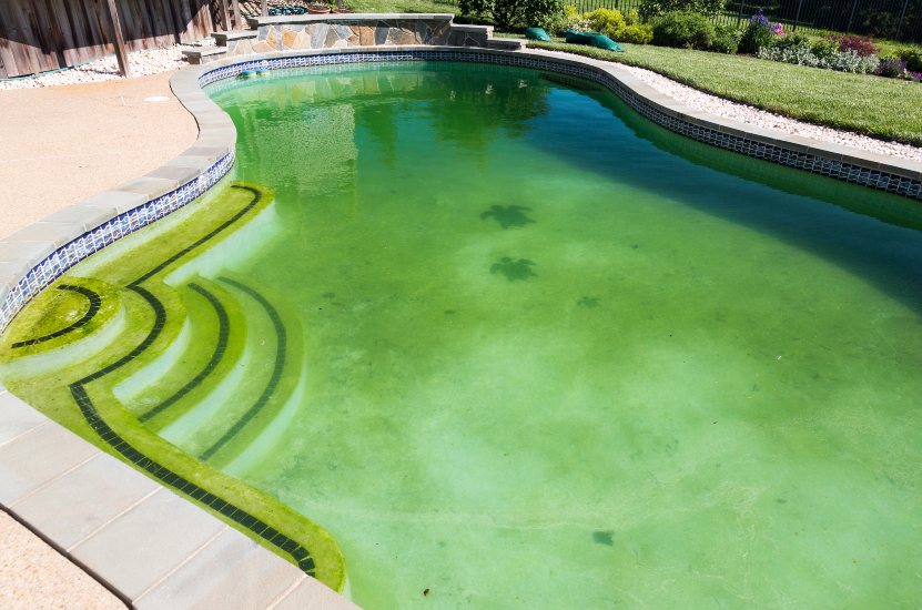 Featured image for “Why Is My Swimming Pool in Jacksonville Green & Cloudy?”